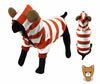Orange Stripe Hoodie with Ears Clothing