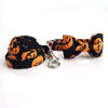 Halloween pumpkin Jack o Lantern Dog Collar|Bowtie|Leash