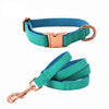 Faux Leather Teal Dog Collar & Leash