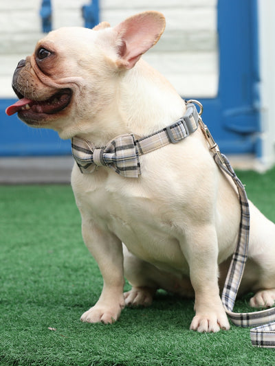 Khaki Plaid Dog Collar|Bowtie|Leash