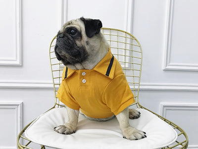 The Pup Polo Shirt Dog Clothing - 3 Colors - Size XS-3XL