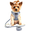 Dog Harness Vest & Matching Leash Pouch Set - 3 Colors