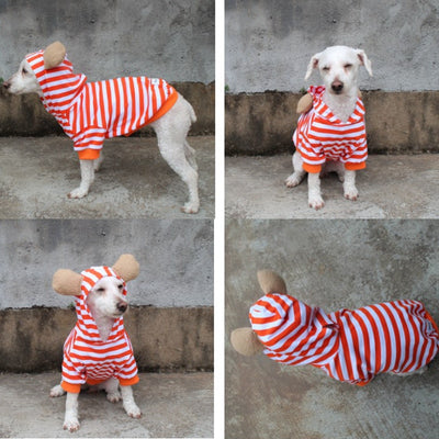 Orange Stripe Hoodie with Ears Clothing