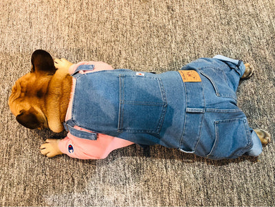 Dog Denim Overalls Clothing