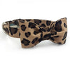 Leopard Print Dog Collar|Bowtie|Leash