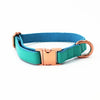 Faux Leather Teal Dog Collar & Leash
