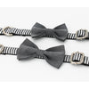 Grey stripes Bowtie Dog Collar & Leash