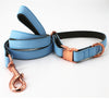 Faux Leather Blue Dog Collar & Leash