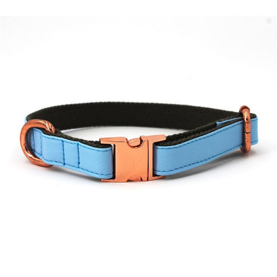 Faux Leather Blue Dog Collar & Leash