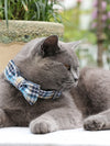 Light Blue Plaid Dog Collar|Bowtie|Leash