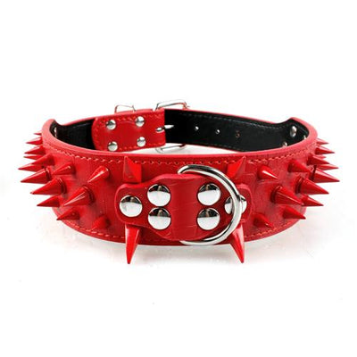 Leather Spiked & Studded Dog Collar