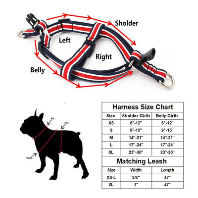 Denim Plaid Jeans Bowtie Dog Collar Harness & Leash