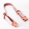 Pink Faux Leather Dog Collar & Leash