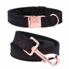 Black Velvet - Rose Gold Pet Collar & Leash