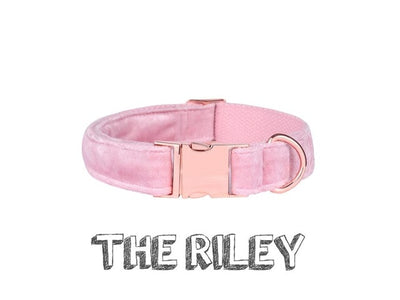 Pink Velvet - Rose Gold Pet Collar & Leash