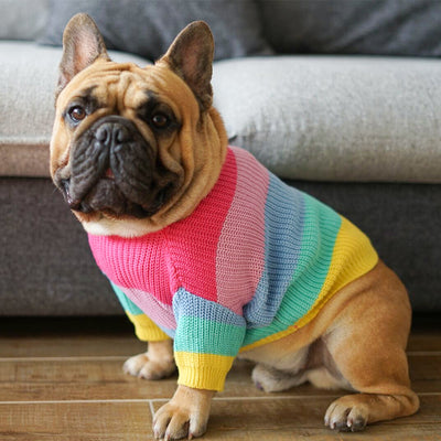 Rainbow Knitted Sweater Jumper Clothing for Dogs