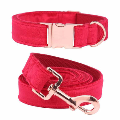 Red Velvet - Rose Gold Pet Collar & Leash