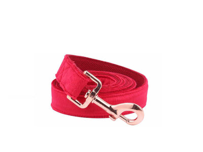 Red Velvet - Rose Gold Pet Collar & Leash