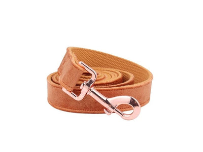 Brown Velvet - Rose Gold Pet Collar & Leash