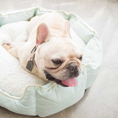 Lux Soft Dog Bed Mint