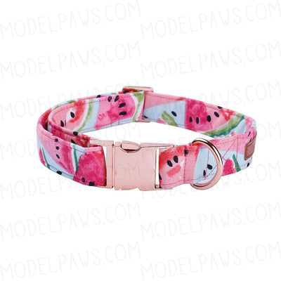 Watermelon Dog Collar|Bowtie|Leash