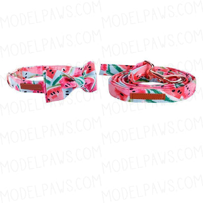 Watermelon Dog Collar|Bowtie|Leash